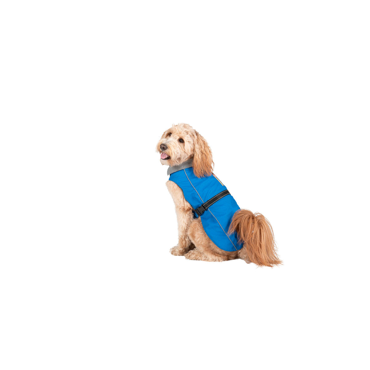 Dog raincoat Dog Gone Smart Blue 30 cm