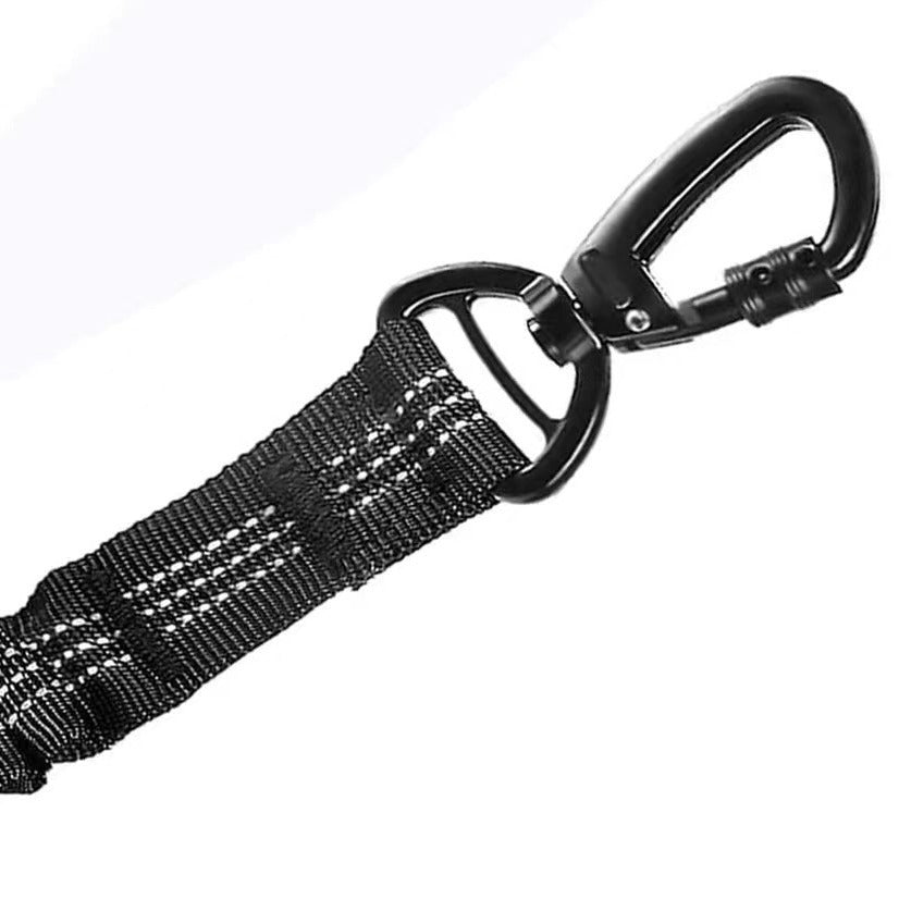Dog Safety Belt
