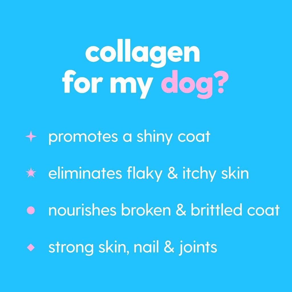 120ml Pet Collagen Drops